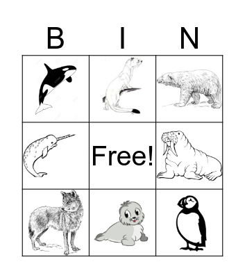 Arctic Animals Bingo Card