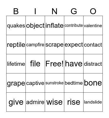 WILSON 4.1-4.4 Bingo Card