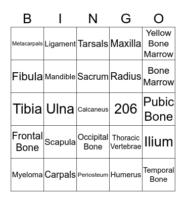 The Skeletal System Bingo Card