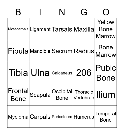 The Skeletal System Bingo Card
