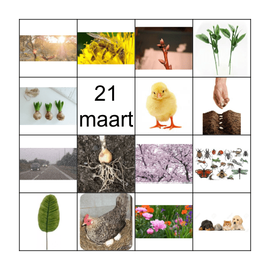 lente Bingo Card