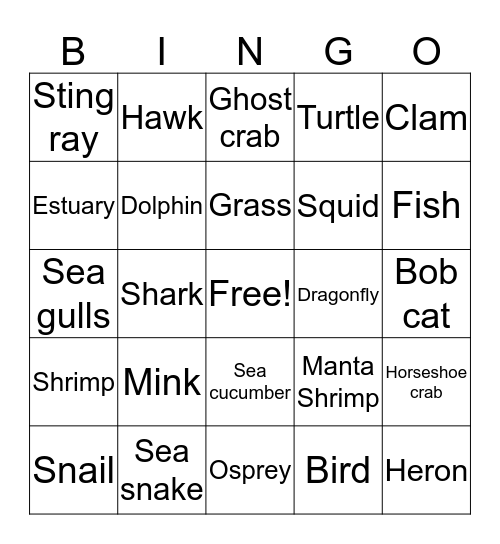 Salt marsh Bingo Card