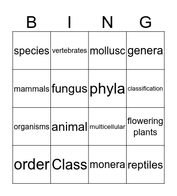 Bingo Card