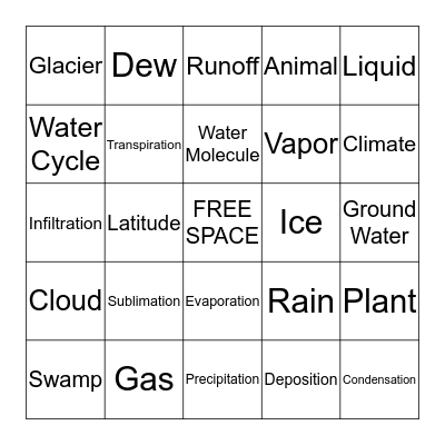 Water Cycle Bingo Card