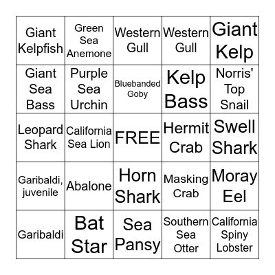 Marine Aquarium Bingo Card