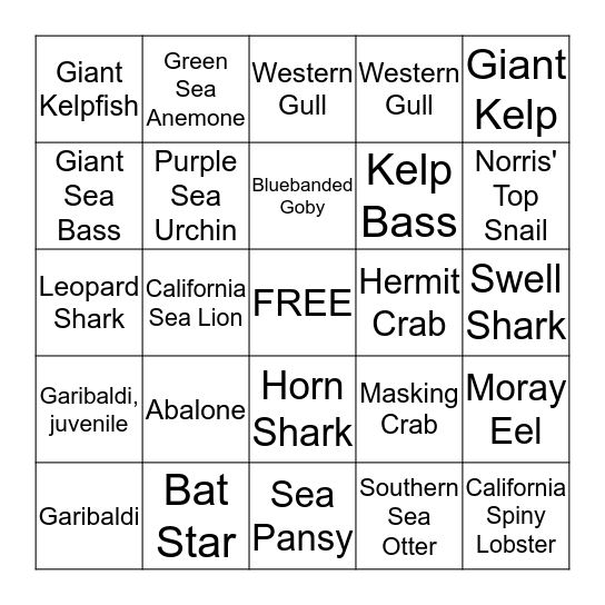 Marine Aquarium Bingo Card