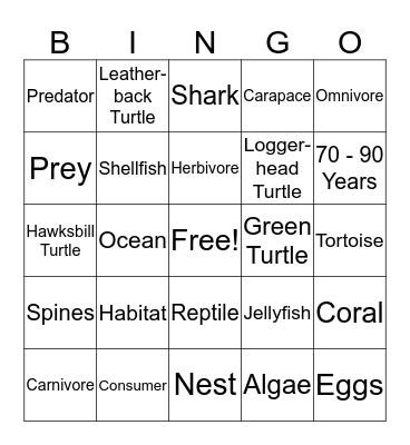 Sea Turtle Bingo Card