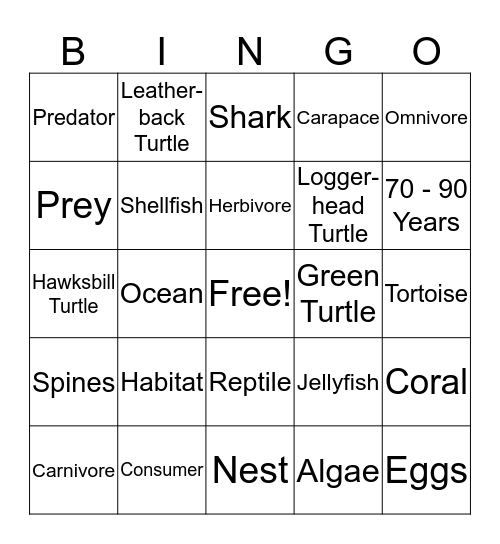 Sea Turtle Bingo Card