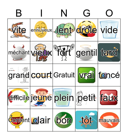 Les Adjectif  Bingo Card