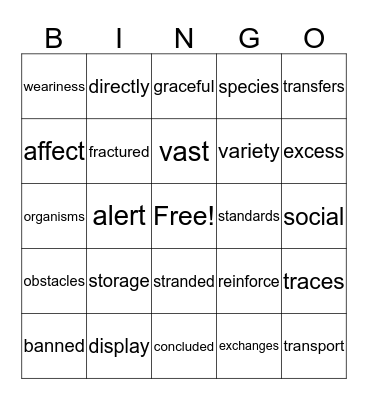 Vocabulary Bingo Card