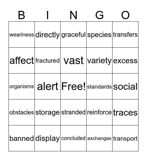 Vocabulary Bingo Card