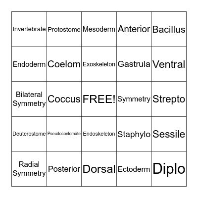 Chapter 25 Vocabulary  Bingo Card