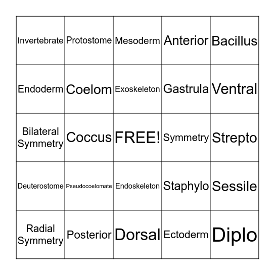 Chapter 25 Vocabulary  Bingo Card