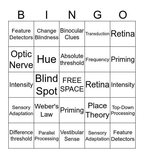 Sensation and Perception Bingo Card