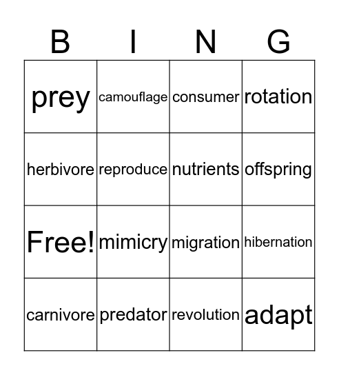 Science Vocabulary Bingo Card