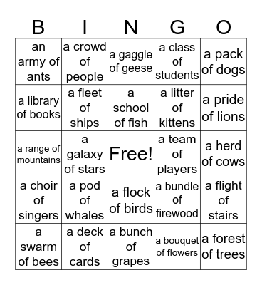 Collective Nouns Bingo Card