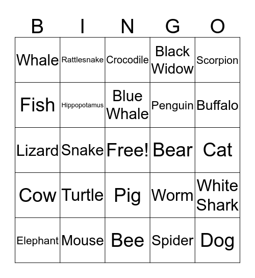 Bingo English language  Bingo Card