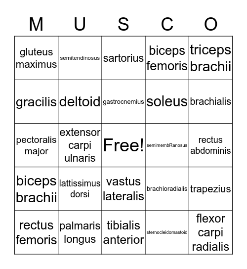 MUSCO Bingo Card