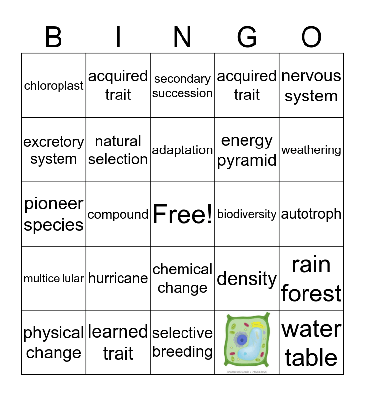 science-bingo-card
