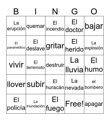 Los desastres Bingo Card