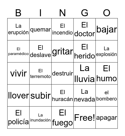 Los desastres Bingo Card