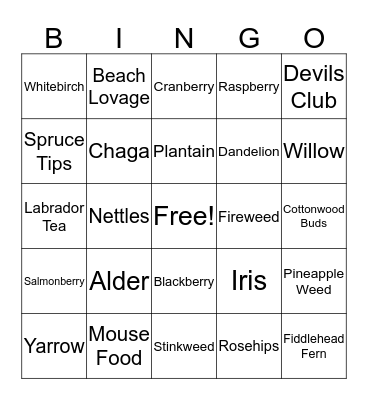 Plant Bingo Card