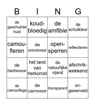 Bingo woordenschat buitenissig Bingo Card