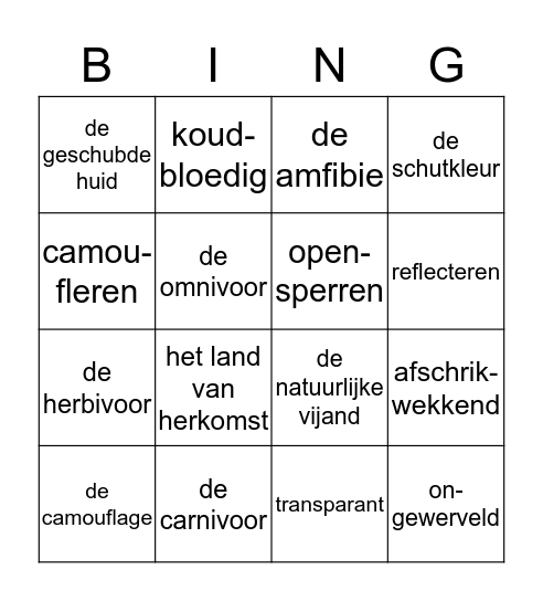 Bingo woordenschat buitenissig Bingo Card