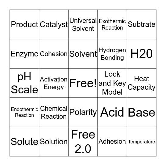 Water/Enzyme Review Bingo Card
