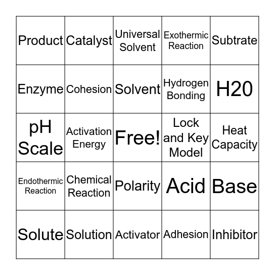 Water/Enzyme Review Bingo Card