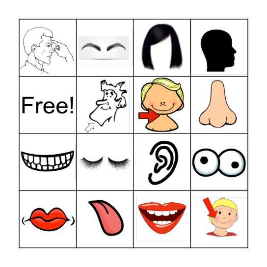 Parts of the Face Bingo Card