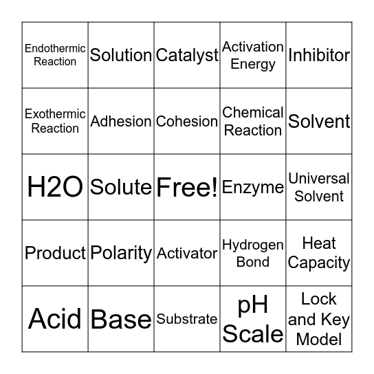 Water/Enzyme Review Bingo Card