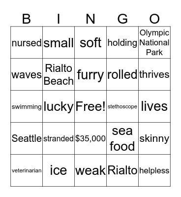 Rialto the Sea Otter Bingo Card