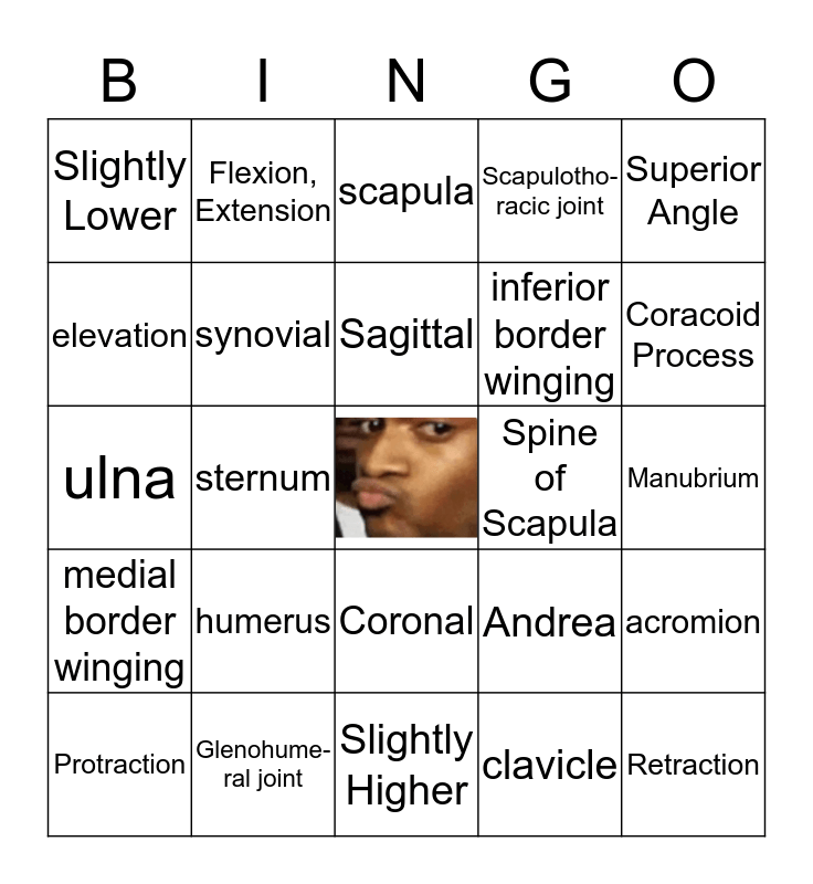 Shoulder Girdle Bingo Card