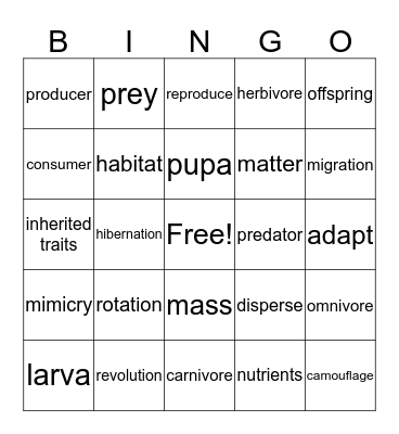 science vocabulary bingo Card