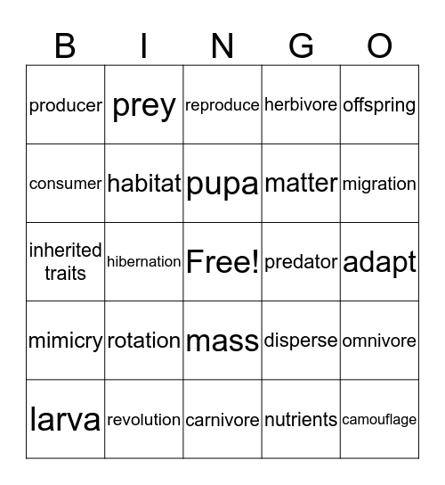 science vocabulary bingo Card