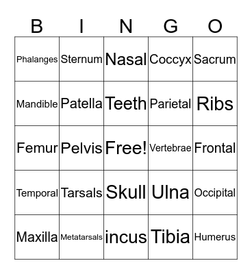 Skeletal System Bingo Card