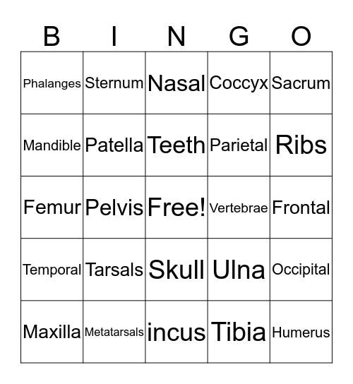 Skeletal System Bingo Card