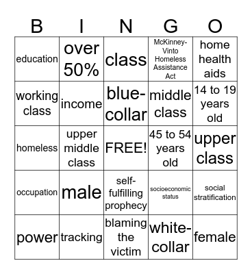 Class and Socioeconomic Status Bingo Card