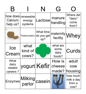 Dairy Badge Bingo Card