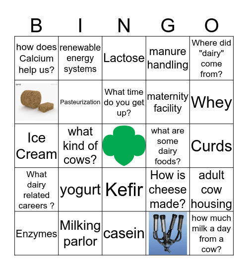 Dairy Badge Bingo Card