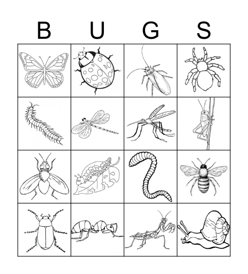bugs-bingo-card