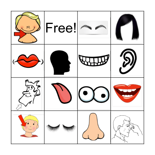 Parts of the Face Bingo Card