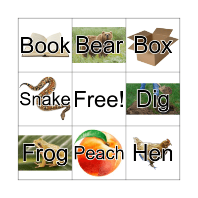 Rhiming Bingo Card