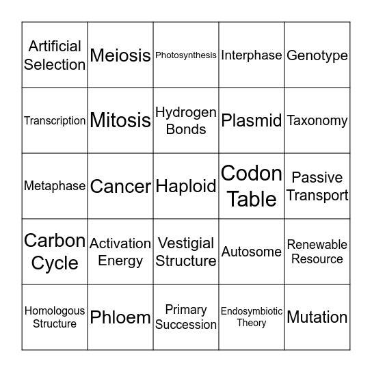 EOC Review Bingo Card