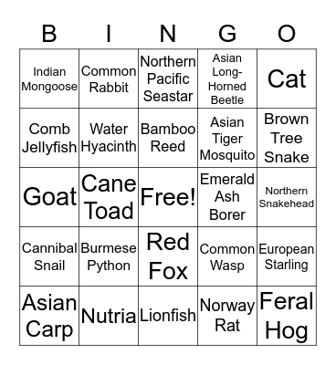 INVASIVE SPECIES Bingo Card
