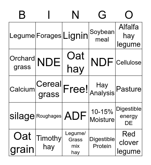 Hey ! Bingo Card