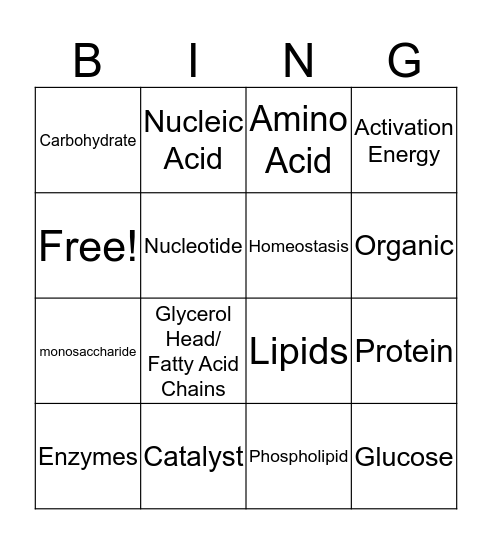 Biomolecules Bingo Card