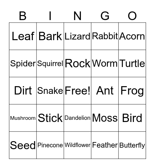 Nature Camp Bingo Card