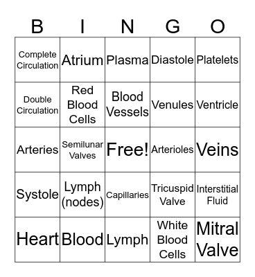 Unit 3 Bingo Card